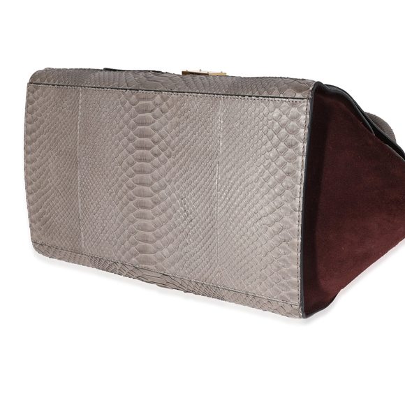 Celine Gray Python & Burgundy Suede Medium Trapeze Bag - Picture 7 of 7